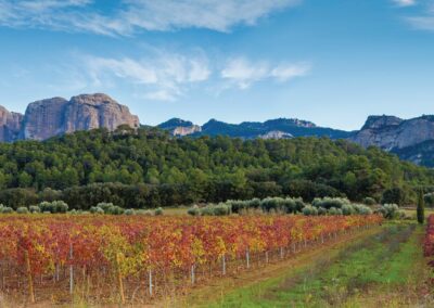 Visitez la Terra Alta, en Catalogne sud