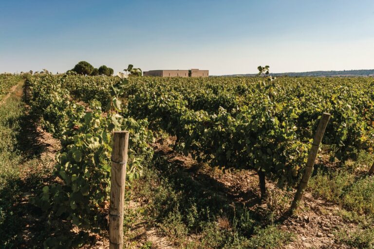 Celler Masetplana (Costa Brava, Catalogne)