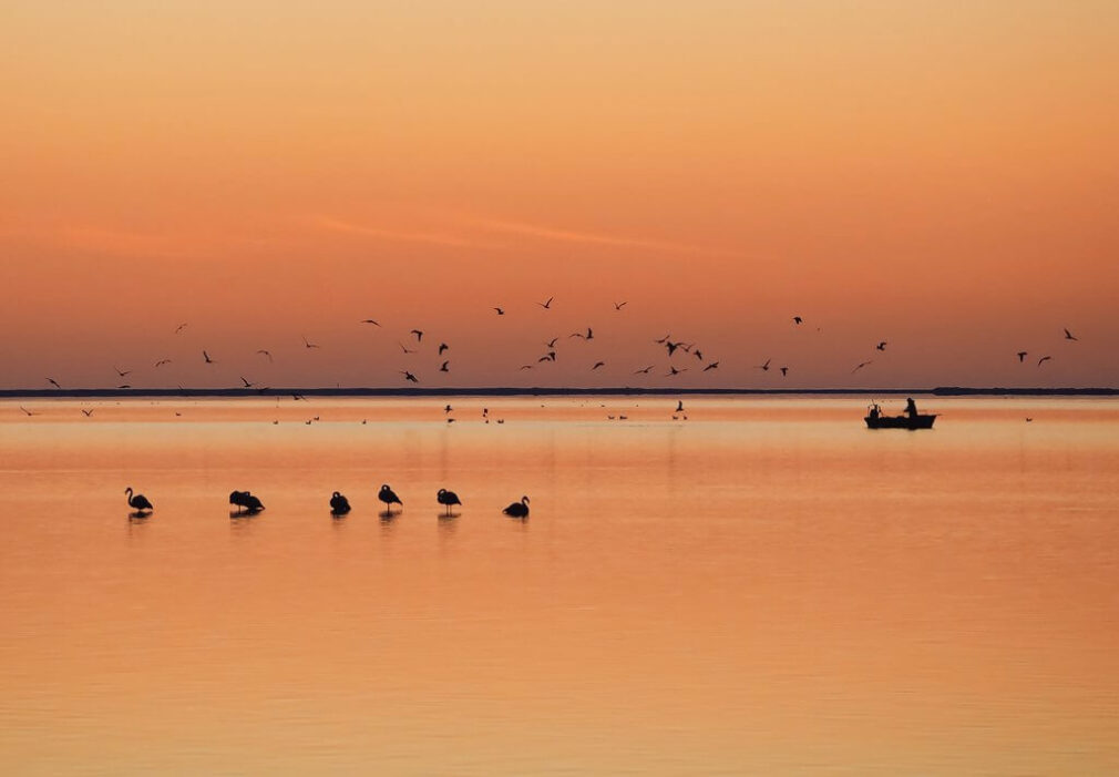 Delta de l'Ebre