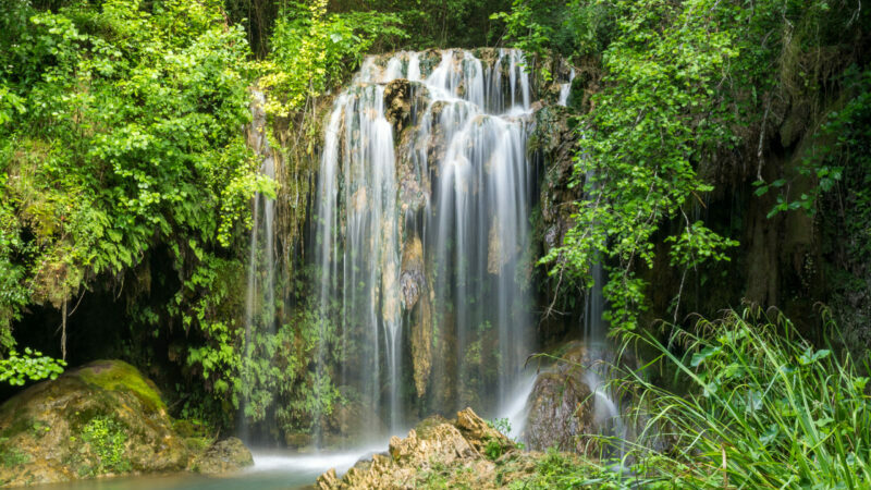 Bassin du Molí dels Murris (Garrotxa)