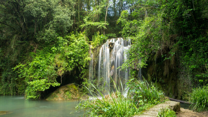 Bassin du Molí dels Murris (Garrotxa)