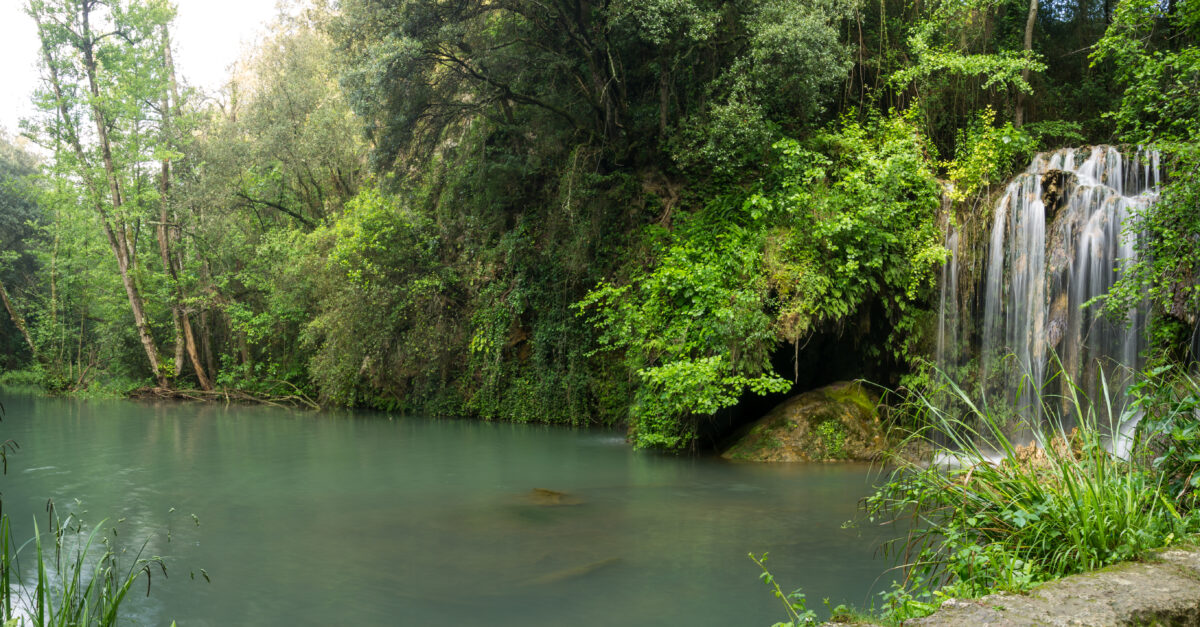 Bassin du Molí dels Murris (Garrotxa)