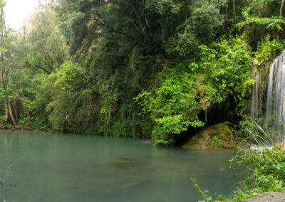 Le Bassin du Molí dels Murris : un oasis en Garrotxa