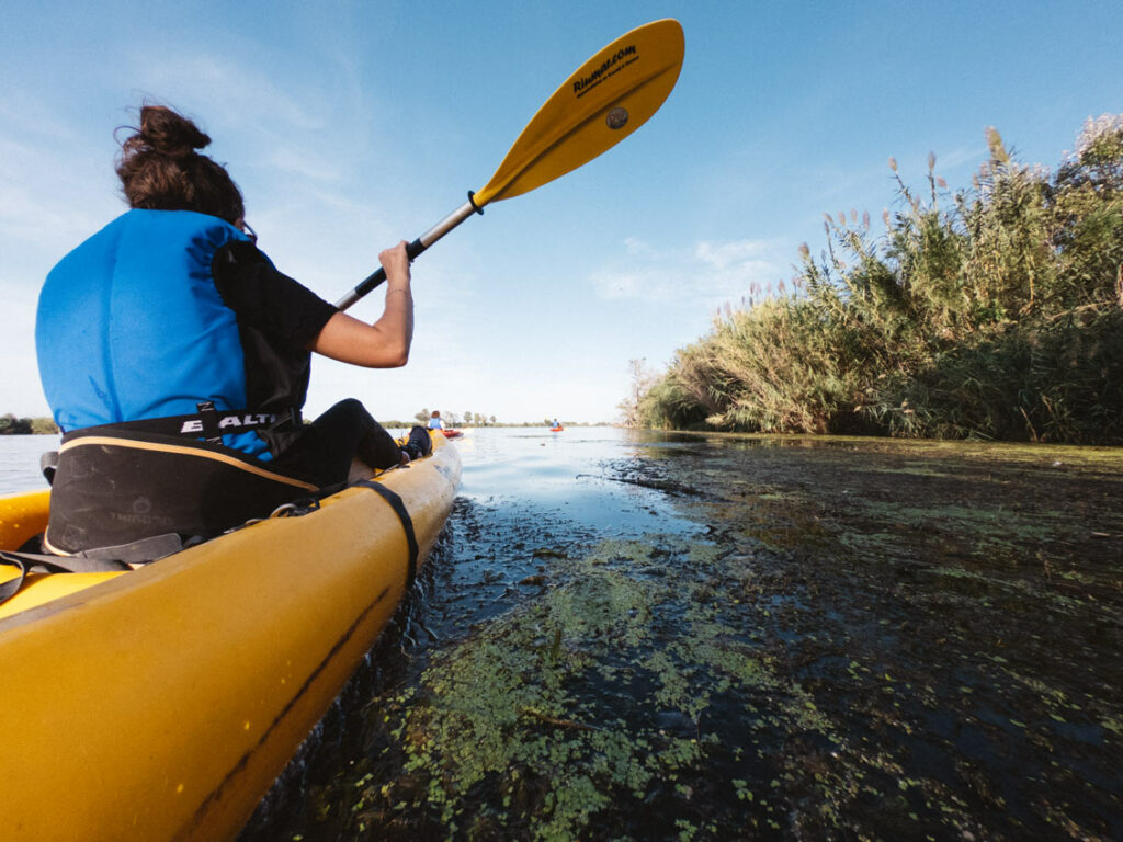 Faire du kayak sur l'Ebre (Catalogne)