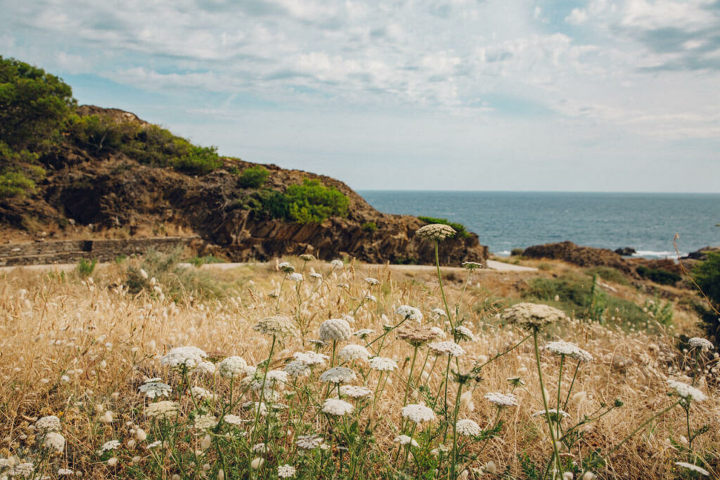 Cap Creus En Catalogne