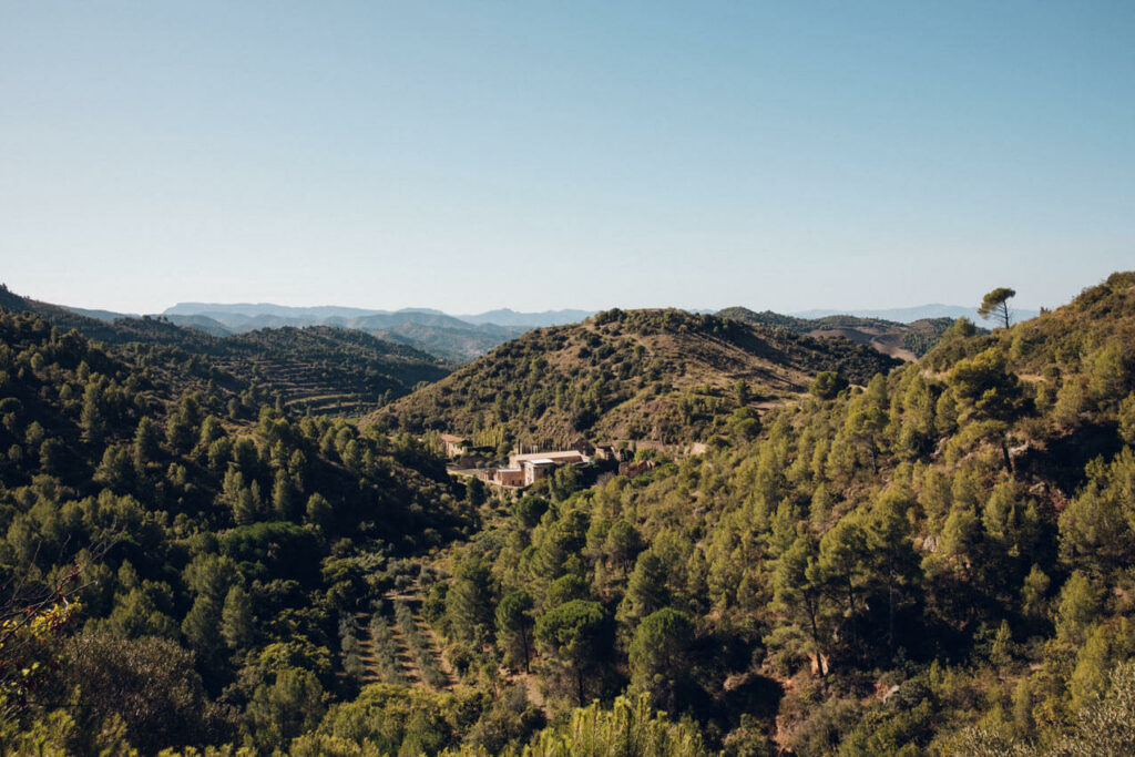 Le Monastere D Escaladei