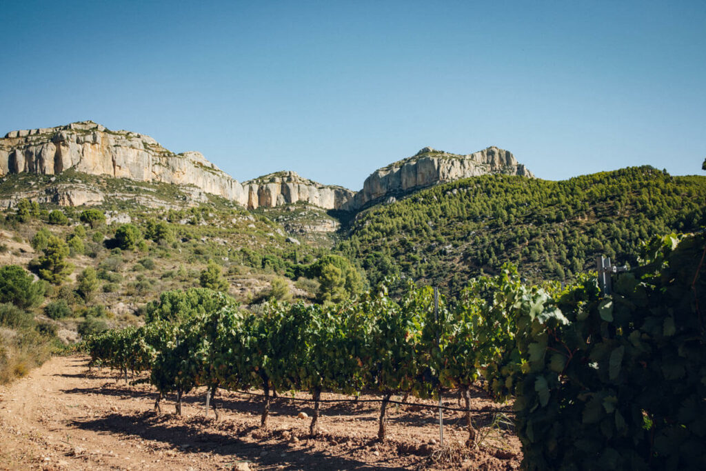Le Priorat Et Ses Vignes - Costa Daurada - Catalogne