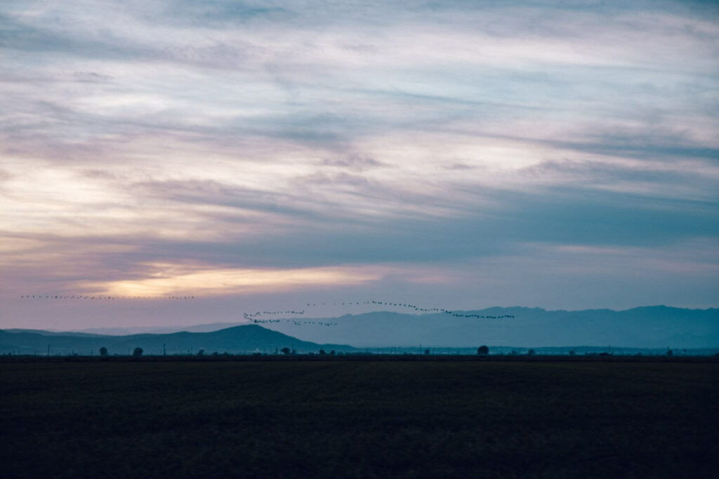 Parc Naturel Delta de l'Ebre - Terres de l'Ebre - Catalogne