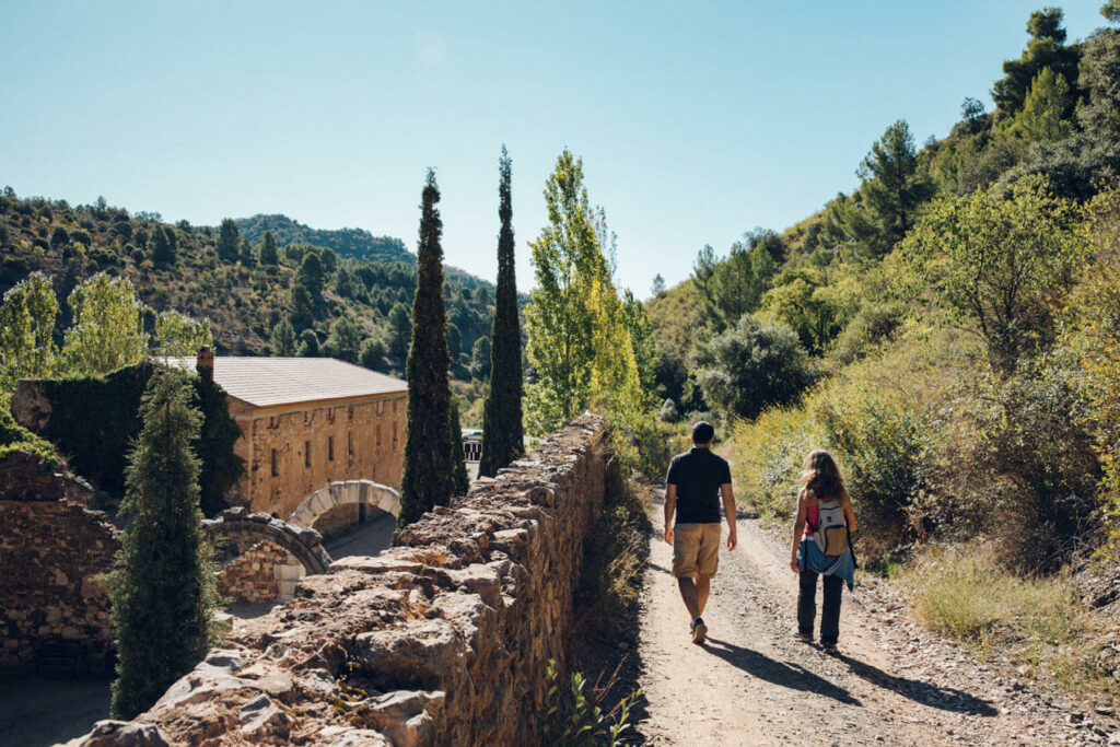 Visiter Le Priorat Et Ses Vignes